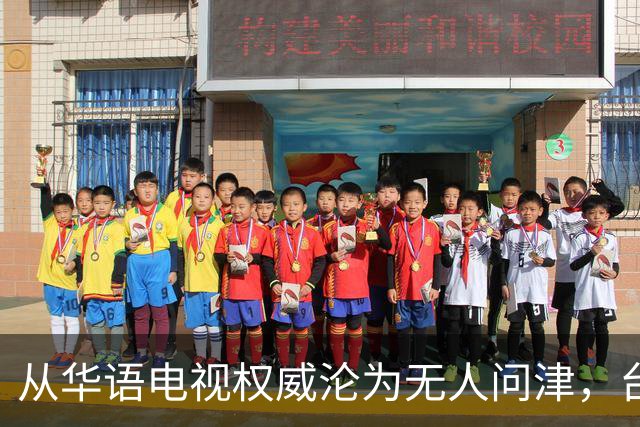 从华语电视权威沦为无人问津，台湾金钟奖，只剩仔仔和深V撑场面